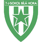 Tj Sokol Bílá Hora